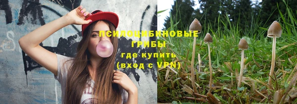 крисы Зеленокумск