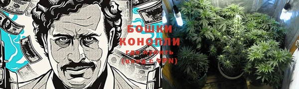крисы Зеленокумск