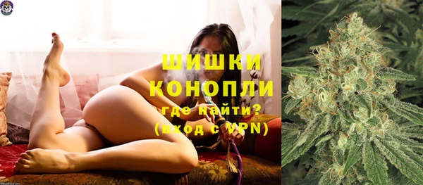крисы Зеленокумск