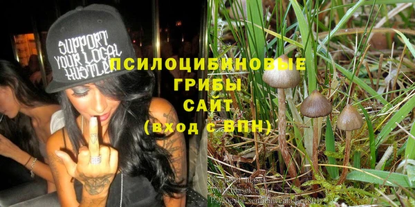 крисы Зеленокумск