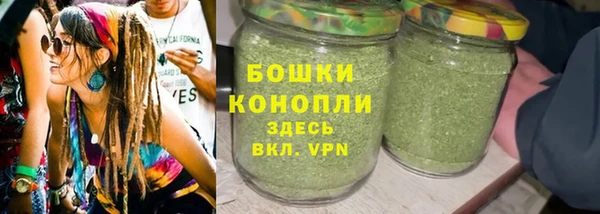 крисы Зеленокумск