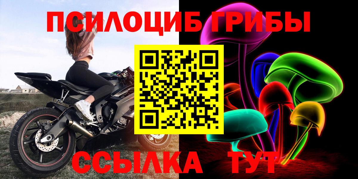 Гагарин  Галлюциногенные грибы MAGIC MUSHROOMS  закладка  Вход с VPN 